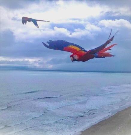 Coloso Del Mar Zancudo エクステリア 写真