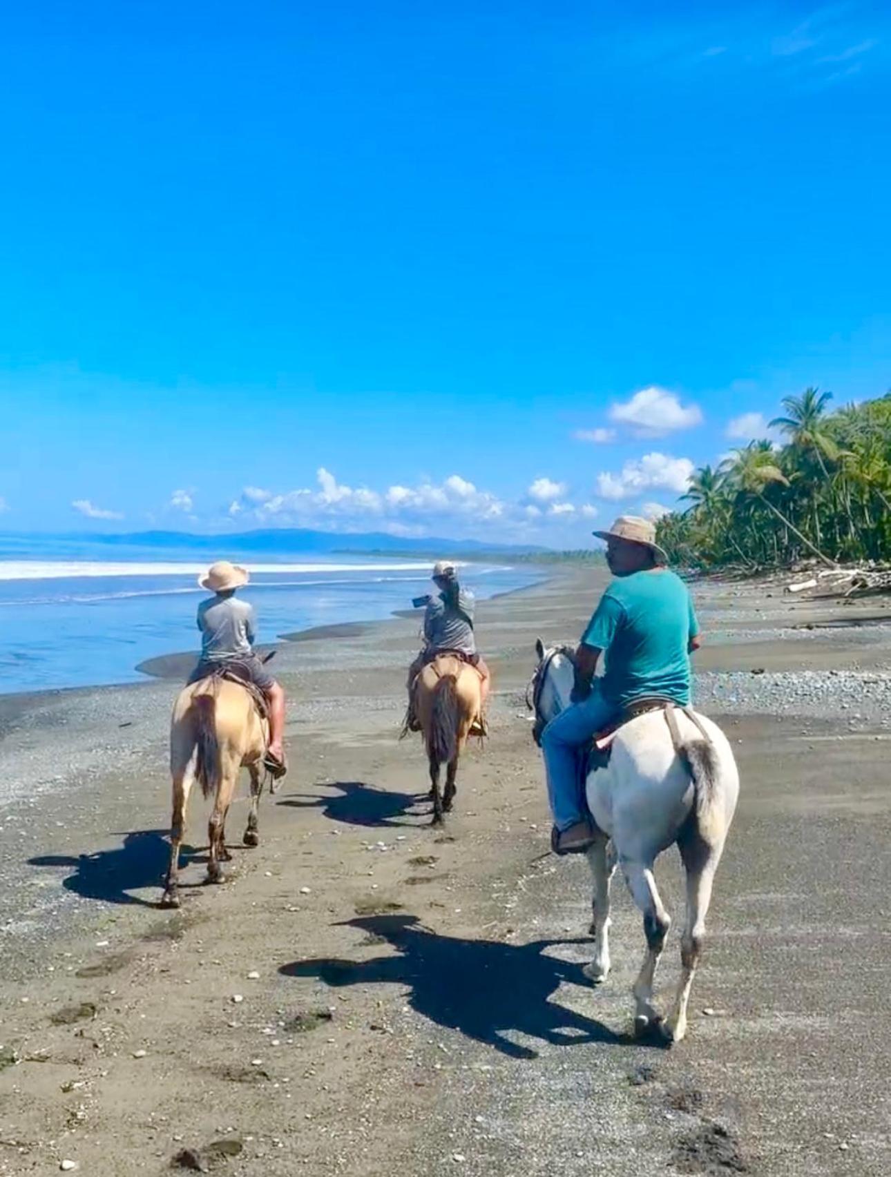 Coloso Del Mar Zancudo エクステリア 写真